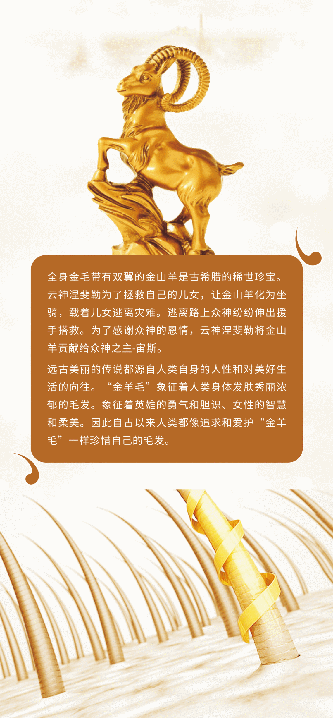 1_嗨格式压缩副本.png