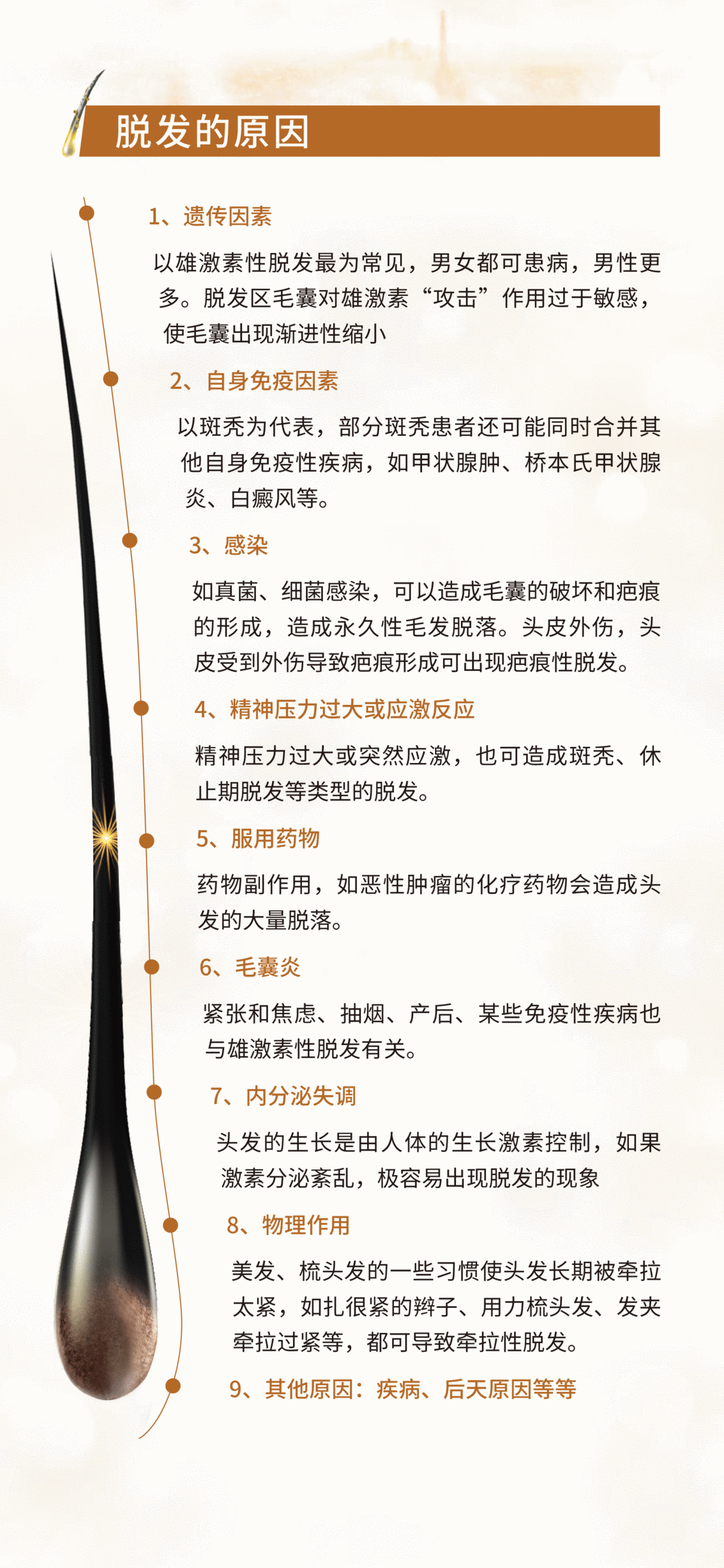 3_嗨格式压缩副本.png