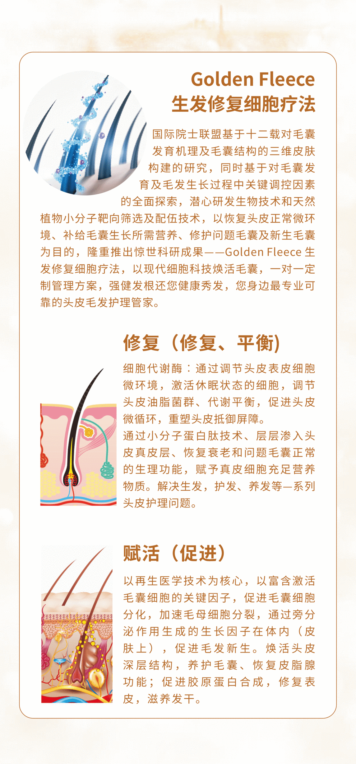 4_嗨格式压缩副本.png