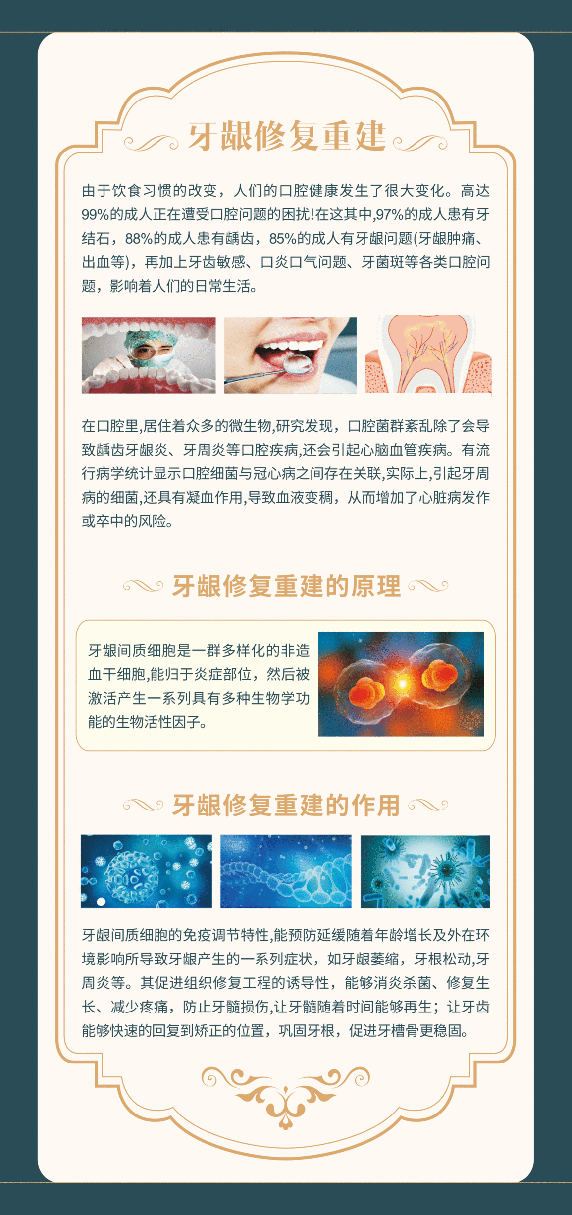 3_嗨格式压缩副本(2).png